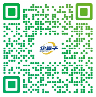 张总监